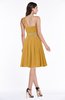 Modern Sleeveless Half Backless Chiffon Knee Length Pleated Plus Size Bridesmaid Dresses