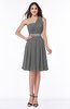 Modern Sleeveless Half Backless Chiffon Knee Length Pleated Plus Size Bridesmaid Dresses