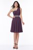 Modern Sleeveless Half Backless Chiffon Knee Length Pleated Plus Size Bridesmaid Dresses