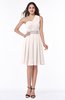 Modern Sleeveless Half Backless Chiffon Knee Length Pleated Plus Size Bridesmaid Dresses