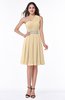 Modern Sleeveless Half Backless Chiffon Knee Length Pleated Plus Size Bridesmaid Dresses
