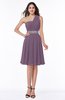 Modern Sleeveless Half Backless Chiffon Knee Length Pleated Plus Size Bridesmaid Dresses