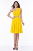 Modern Sleeveless Half Backless Chiffon Knee Length Pleated Plus Size Bridesmaid Dresses