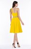 Modern Sleeveless Half Backless Chiffon Knee Length Pleated Plus Size Bridesmaid Dresses
