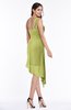 Modern Asymmetric Neckline Sleeveless Zipper Chiffon Plus Size Bridesmaid Dresses