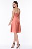 Gorgeous A-line Strapless Zipper Knee Length Plus Size Bridesmaid Dresses