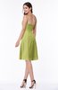 Gorgeous A-line Strapless Zipper Knee Length Plus Size Bridesmaid Dresses