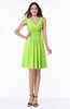 Modern Thick Straps Sleeveless Zip up Chiffon Plus Size Bridesmaid Dresses