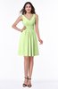 Modern Thick Straps Sleeveless Zip up Chiffon Plus Size Bridesmaid Dresses