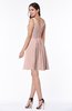 Modern Thick Straps Sleeveless Zip up Chiffon Plus Size Bridesmaid Dresses