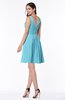 Modern Thick Straps Sleeveless Zip up Chiffon Plus Size Bridesmaid Dresses