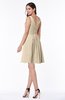 Modern Thick Straps Sleeveless Zip up Chiffon Plus Size Bridesmaid Dresses