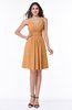 Modern Thick Straps Sleeveless Zip up Chiffon Plus Size Bridesmaid Dresses