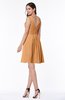 Modern Thick Straps Sleeveless Zip up Chiffon Plus Size Bridesmaid Dresses