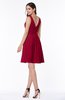 Modern Thick Straps Sleeveless Zip up Chiffon Plus Size Bridesmaid Dresses