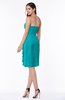 Plain Sheath Sweetheart Zip up Chiffon Ruffles Plus Size Bridesmaid Dresses