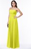 Simple A-line Sleeveless Chiffon Floor Length Plus Size Bridesmaid Dresses