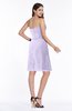 Mature A-line Sleeveless Zipper Chiffon Knee Length Plus Size Bridesmaid Dresses