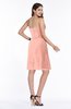 Mature A-line Sleeveless Zipper Chiffon Knee Length Plus Size Bridesmaid Dresses