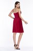 Mature A-line Sleeveless Zipper Chiffon Knee Length Plus Size Bridesmaid Dresses