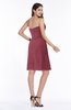 Mature A-line Sleeveless Zipper Chiffon Knee Length Plus Size Bridesmaid Dresses