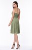 Glamorous A-line Sweetheart Sleeveless Zipper Knee Length Plus Size Bridesmaid Dresses