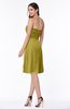 Glamorous A-line Sweetheart Sleeveless Zipper Knee Length Plus Size Bridesmaid Dresses