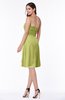 Glamorous A-line Sweetheart Sleeveless Zipper Knee Length Plus Size Bridesmaid Dresses