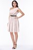 Modern Zipper Chiffon Knee Length Sash Plus Size Bridesmaid Dresses