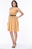 Modern Zipper Chiffon Knee Length Sash Plus Size Bridesmaid Dresses
