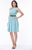 Modern Zipper Chiffon Knee Length Sash Plus Size Bridesmaid Dresses