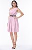 Modern Zipper Chiffon Knee Length Sash Plus Size Bridesmaid Dresses