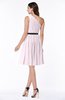 Modern Zipper Chiffon Knee Length Sash Plus Size Bridesmaid Dresses