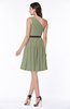 Modern Zipper Chiffon Knee Length Sash Plus Size Bridesmaid Dresses