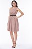 Modern Zipper Chiffon Knee Length Sash Plus Size Bridesmaid Dresses