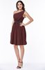 Modern Zipper Chiffon Knee Length Sash Plus Size Bridesmaid Dresses
