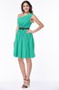 Modern Zipper Chiffon Knee Length Sash Plus Size Bridesmaid Dresses