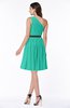 Modern Zipper Chiffon Knee Length Sash Plus Size Bridesmaid Dresses