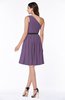 Modern Zipper Chiffon Knee Length Sash Plus Size Bridesmaid Dresses