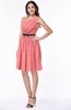 Modern Zipper Chiffon Knee Length Sash Plus Size Bridesmaid Dresses