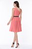 Modern Zipper Chiffon Knee Length Sash Plus Size Bridesmaid Dresses