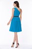 Modern Zipper Chiffon Knee Length Sash Plus Size Bridesmaid Dresses