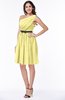 Modern Zipper Chiffon Knee Length Sash Plus Size Bridesmaid Dresses