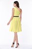 Modern Zipper Chiffon Knee Length Sash Plus Size Bridesmaid Dresses