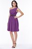 Modern Zipper Chiffon Knee Length Sash Plus Size Bridesmaid Dresses