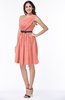Modern Zipper Chiffon Knee Length Sash Plus Size Bridesmaid Dresses