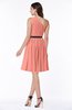 Modern Zipper Chiffon Knee Length Sash Plus Size Bridesmaid Dresses