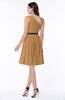 Modern Zipper Chiffon Knee Length Sash Plus Size Bridesmaid Dresses