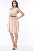Modern Zipper Chiffon Knee Length Sash Plus Size Bridesmaid Dresses