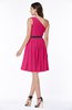 Modern Zipper Chiffon Knee Length Sash Plus Size Bridesmaid Dresses